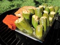 Grilled Meat and Stuffed Jalapenos Royalty Free Stock Photo