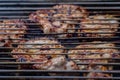 Grilled meat