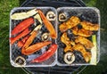 Grilled meat with vegetables on barbecue Royalty Free Stock Photo