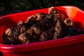 Grilled minced meat rolls on a big red bowl. Meat cooked outside on grill barbecue called Mici in traditional Romanian cuisine Royalty Free Stock Photo