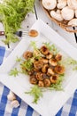 Grilled mushrooms, vegetables in a plate. Photo of food on a white background Royalty Free Stock Photo