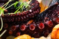 Grilled Octopus appetizer food concept image