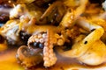 Grilled octopus closeup with another seafood with herbs and spices. Top view Royalty Free Stock Photo