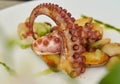 Grilled octopus dish with halves of baby potatoes and green dressing shallow depth of field Royalty Free Stock Photo