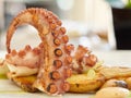 Grilled octopus dish with halves of baby potatoes and green dressing shallow depth of field Royalty Free Stock Photo