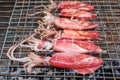 Grilled Octopus on grill Royalty Free Stock Photo