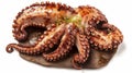 Grilled octopus isolated on white background, AI Generated