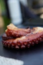 Grilled octopus, octopus, sun dried octopus, tentacles, charcoal grilled, seafood, Greek food, traditional, sea food Royalty Free Stock Photo