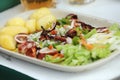 Grilled octopus with potato and salad Royalty Free Stock Photo