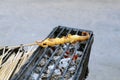 Grilled octopus on skewer, food on street, Thailand