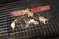 Grilled octopus with smoke on metal grill. Royalty Free Stock Photo