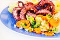 Grilled octopus with veggies and rice Royalty Free Stock Photo