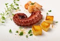 Grilled octopus on white restaurant plate served with shrimps Royalty Free Stock Photo