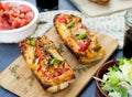 Grilled open faced sandwich with tomato, olives, cheese and chic Royalty Free Stock Photo