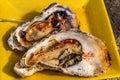 grilled oysters on plate, Japan