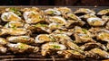 Grilled oysters with rice