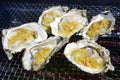 Chinese style barbecue - Grilled Oysters.