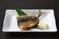 Grilled pacific saury with grated radish Royalty Free Stock Photo