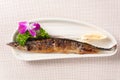 Grilled pacific saury Royalty Free Stock Photo