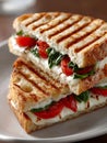 Grilled panini with mozzarella, tomato, basil on a plate. Royalty Free Stock Photo