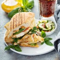 Grilled panini sandwich with chicken and cheese