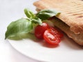 Grilled panini sandwich with tomatoes, mozzarella Royalty Free Stock Photo