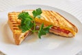 Grilled panini sandwiches