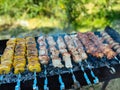 Grilled pieces of meat on skewers, shish kebab with vegetables, cooking process on fire, on brazier. Roasted marinated meat cooked Royalty Free Stock Photo