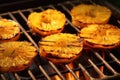 grilled pineapple slices on a bbq grill