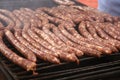 Grilled Plescoi sausages Royalty Free Stock Photo