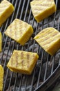 Grilled polenta