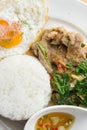 Grilled pork basil with Fried egg , stir basil with crispy pork Royalty Free Stock Photo