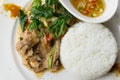 Grilled pork basil with Fried egg , stir basil with crispy pork Royalty Free Stock Photo