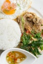 Grilled pork basil with Fried egg , stir basil with crispy pork Royalty Free Stock Photo