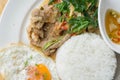 Grilled pork basil with Fried egg , stir basil with crispy pork Royalty Free Stock Photo