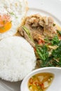 Grilled pork basil with Fried egg , stir basil with crispy pork Royalty Free Stock Photo