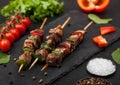 Grilled pork and chicken kebab with paprika on stone chopping board with salt, pepper and tomatoes on black background. Fresh Royalty Free Stock Photo