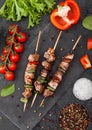 Grilled pork and chicken kebab with paprika on stone chopping board with salt, pepper and tomatoes on black background. Fresh Royalty Free Stock Photo