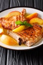 Grilled pork chop is served with glazed peaches and mint closeup Royalty Free Stock Photo