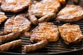 Grilled pork cutlets,on the grillage Royalty Free Stock Photo