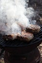 Grilled pork loins Royalty Free Stock Photo