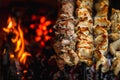 Grilled pork meat on the grill close up, barbecue, shashlik, kebab, skewer on the grill Royalty Free Stock Photo