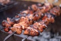 Grilled pork meat kebab skewers Royalty Free Stock Photo