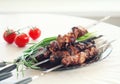 Grilled pork meat Royalty Free Stock Photo