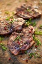 Grilled pork neck steak sprinkled with herbs and spices Royalty Free Stock Photo