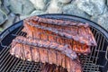 Grilled pork ribs on the rack Royalty Free Stock Photo