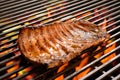 Grilled pork ribs/steak Royalty Free Stock Photo