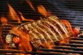 Grilled pork ribs with vegetable Royalty Free Stock Photo