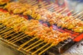 Grilled pork satays on the stove oven Royalty Free Stock Photo