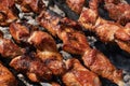 Grilled pork shish kebab cooking on skewers on charcoal grill Royalty Free Stock Photo